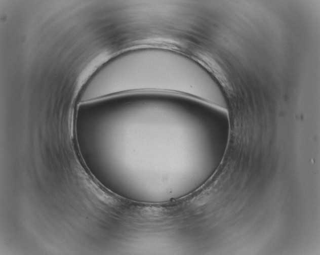 X0000090601180200707171101