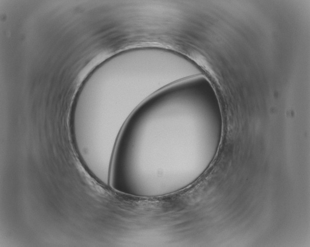 X0000090601181200707171101