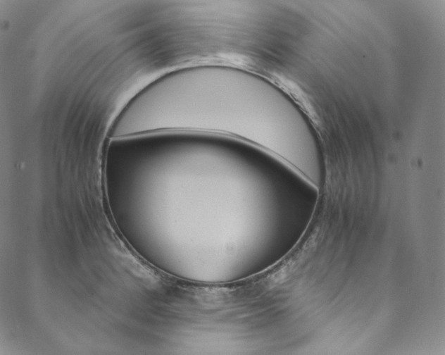X0000090601184200707171101