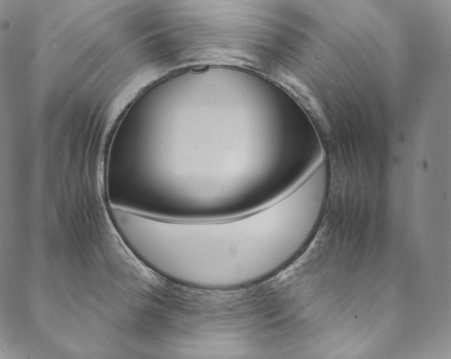 X0000090601188200707171101
