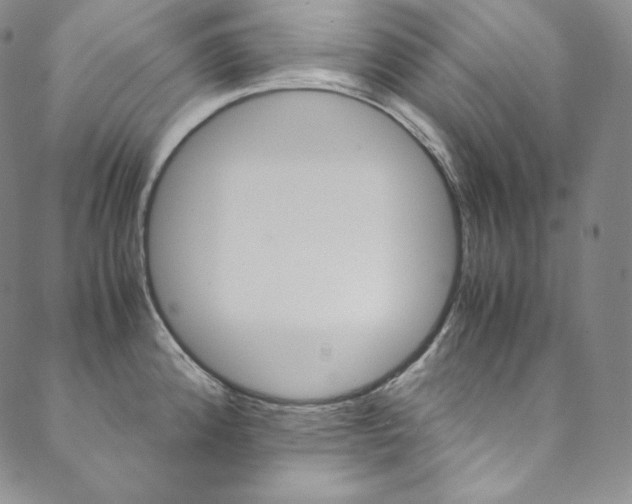 X0000090601192200707171101