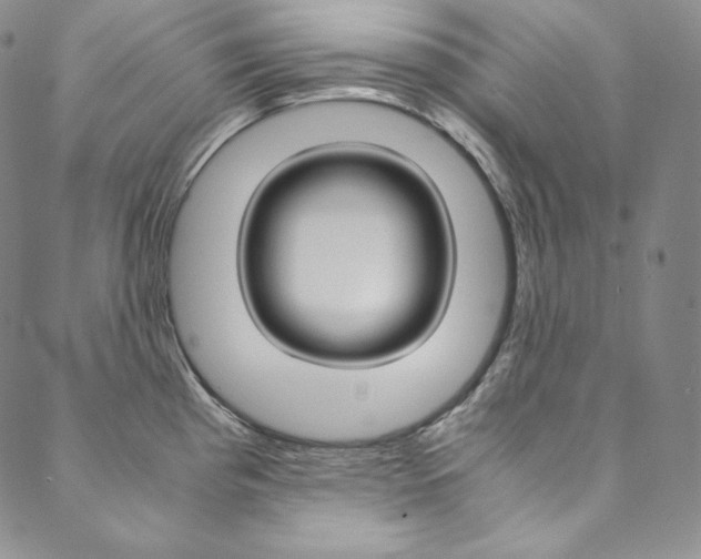 X0000090601193200707171101
