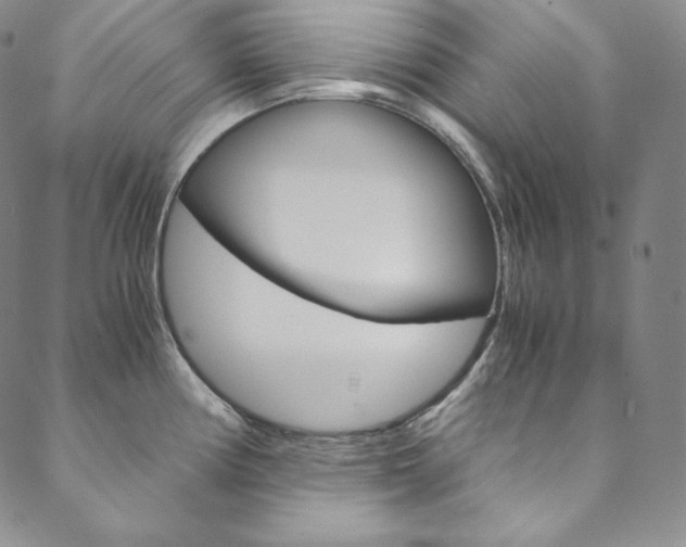 X0000090601194200707171101
