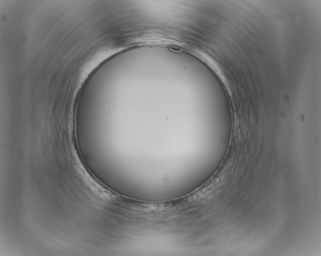 X0000090601195200707171101