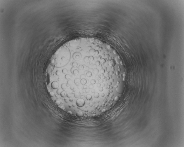 X0000090601201200707171100