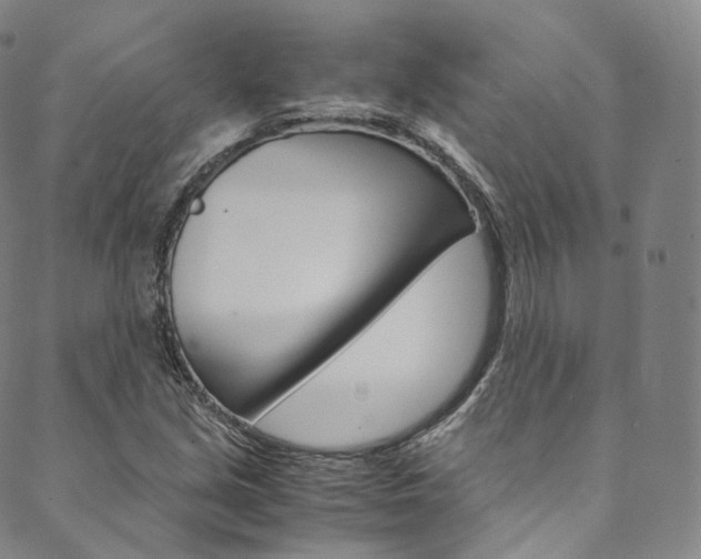 X0000090601213200707171100