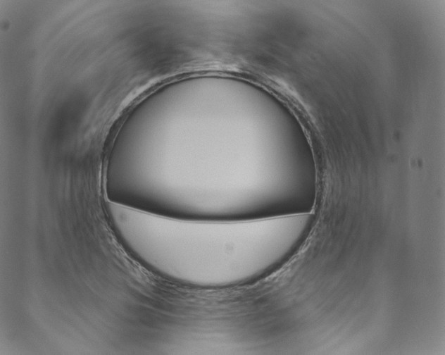 X0000090601220200707171100