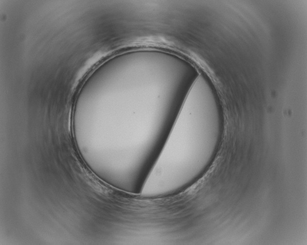X0000090601224200707171100