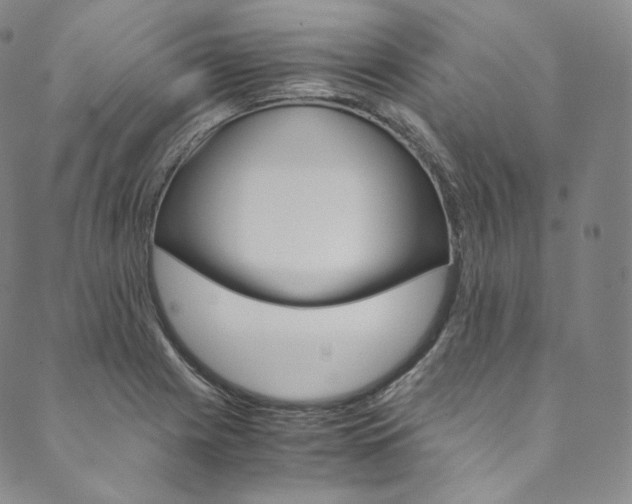 X0000090601225200707171100