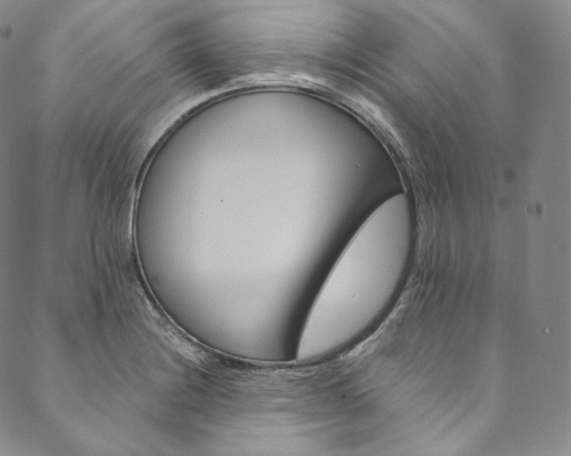 X0000090601228200707171100