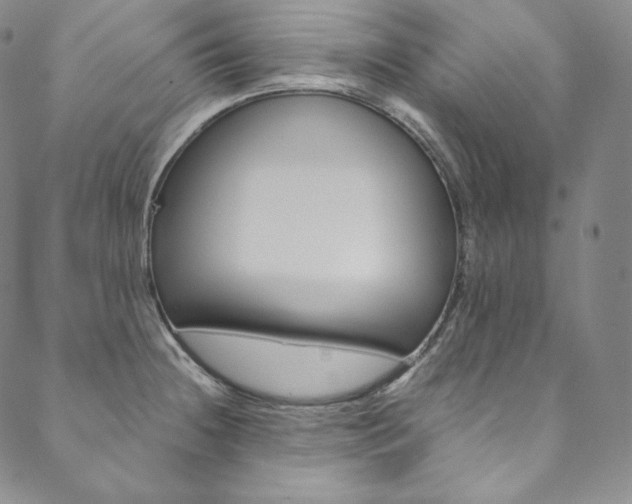 X0000090601236200707171100
