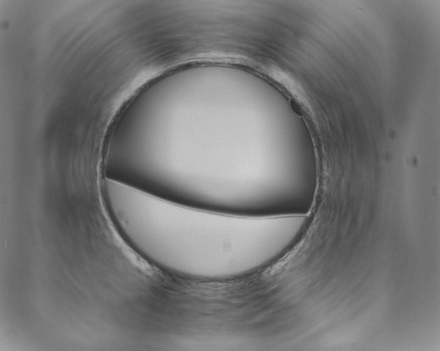 X0000090601237200707171100