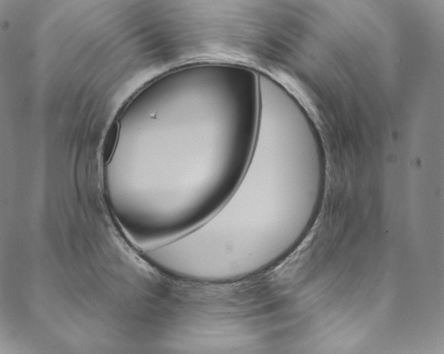 X0000090601238200707171100