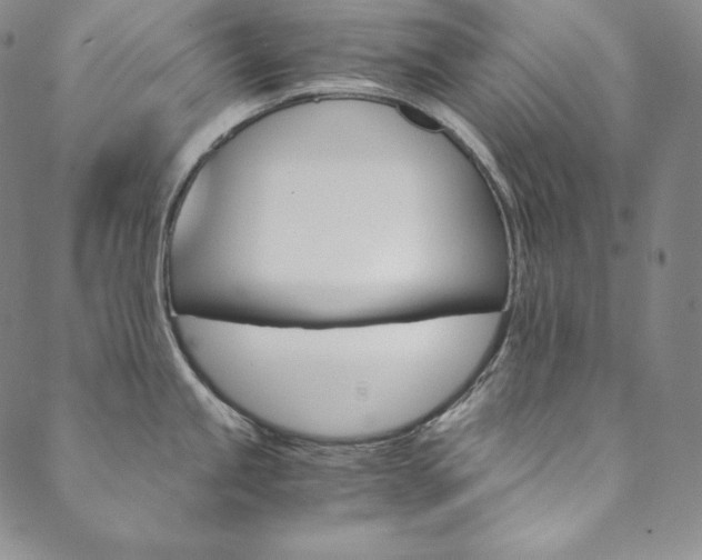 X0000090601245200707171101