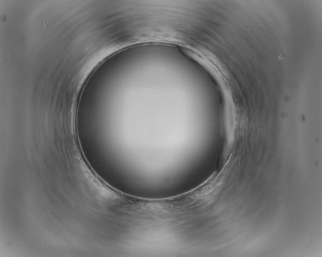 X0000090601246200707171101