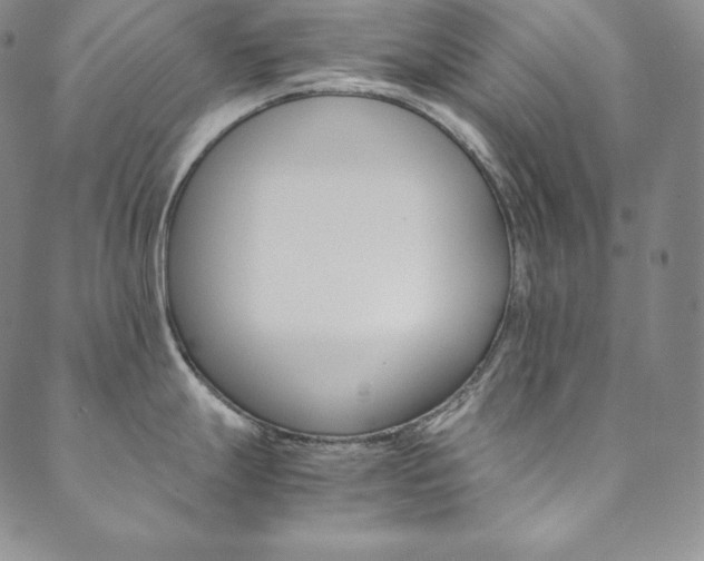 X0000090601247200707171101