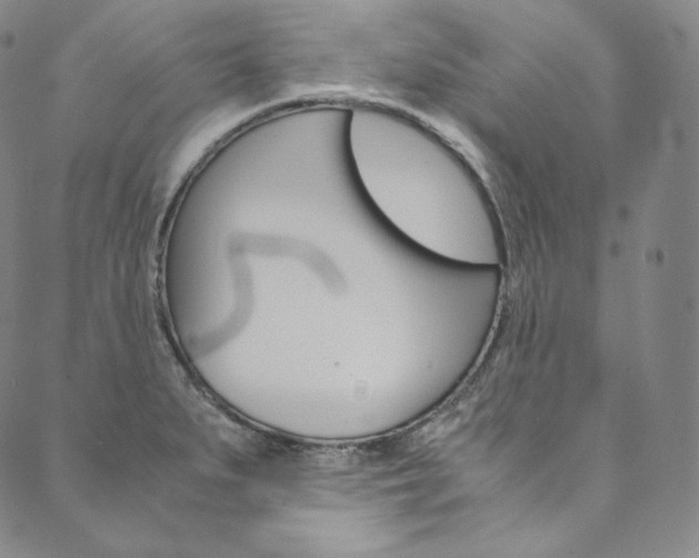 X0000090601279200707171059