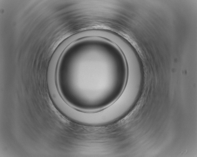 X0000090601281200707171059
