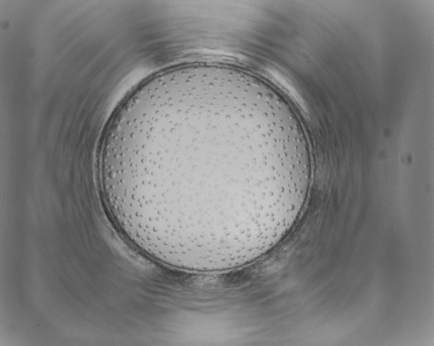 X0000090601283200707171059