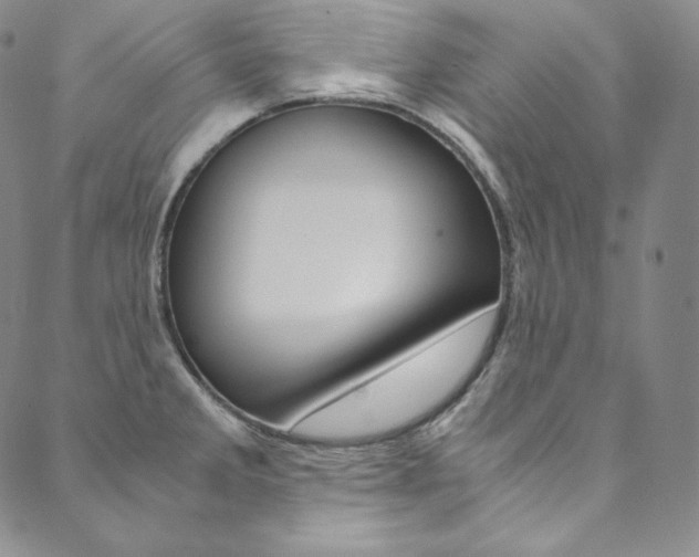 X0000090601285200707171059