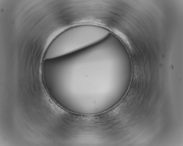 X0000090601288200707171059
