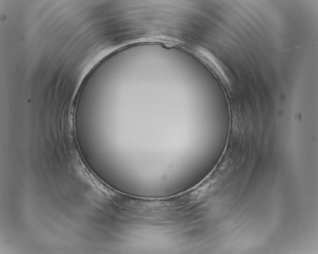 X0000090601292200707171059