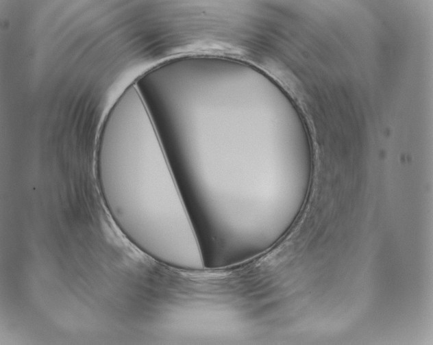 X0000090601296200707171059