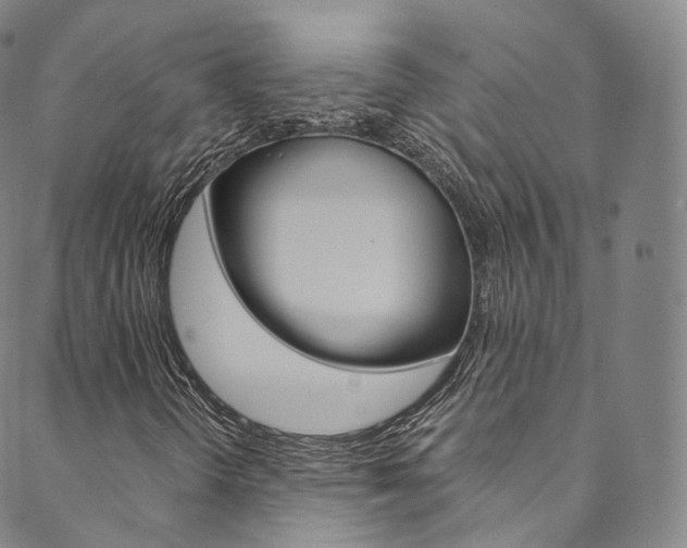 X0000090601298200707171058