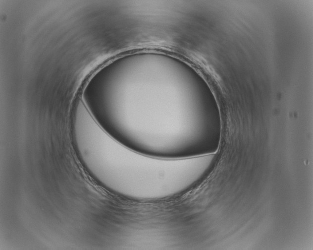 X0000090601316200707171059