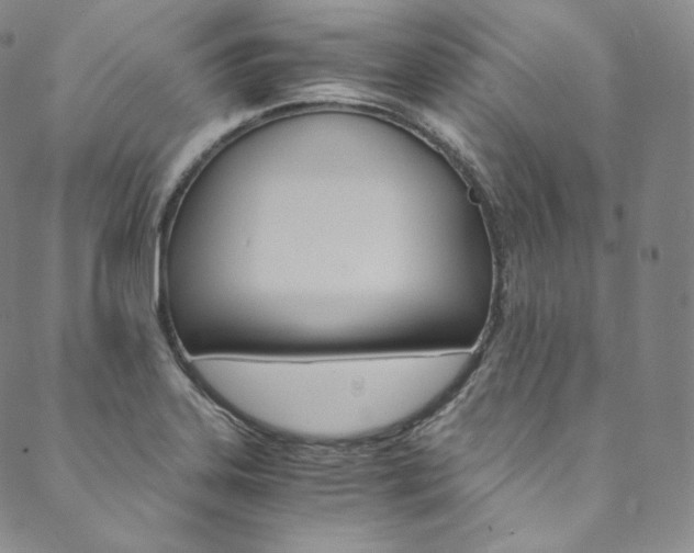 X0000090601323200707171059