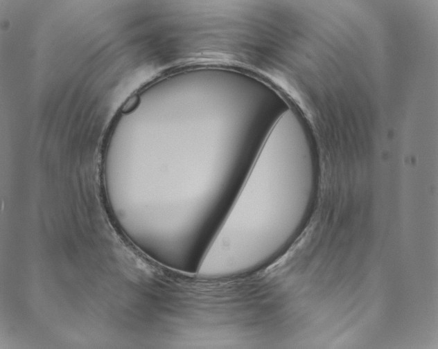 X0000090601325200707171059