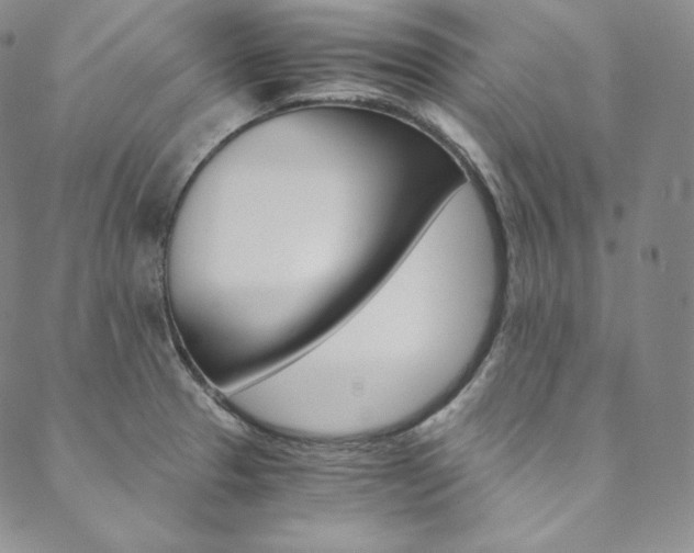 X0000090601329200707171059