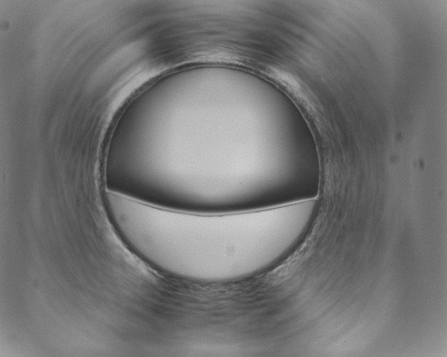 X0000090601331200707171059