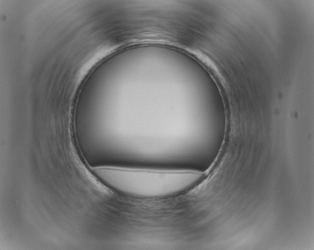 X0000090601333200707171059