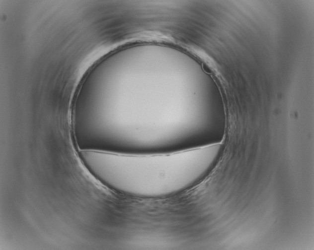 X0000090601335200707171059