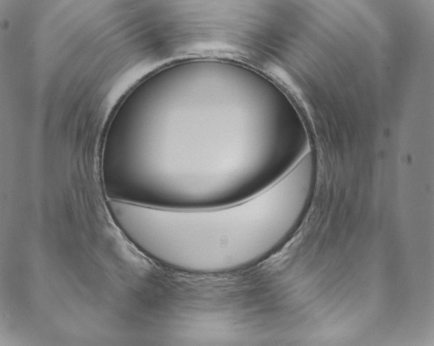 X0000090601336200707171059