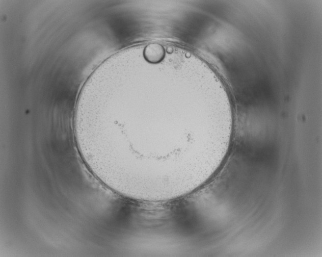 X0000090601338200707171059