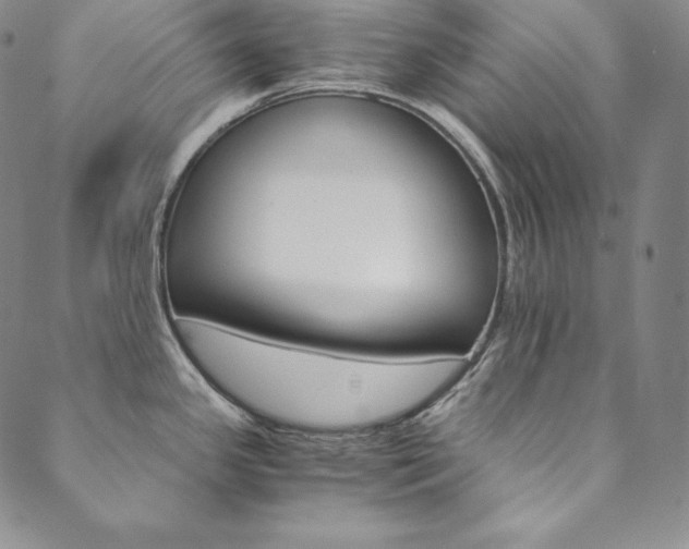 X0000090601341200707171059