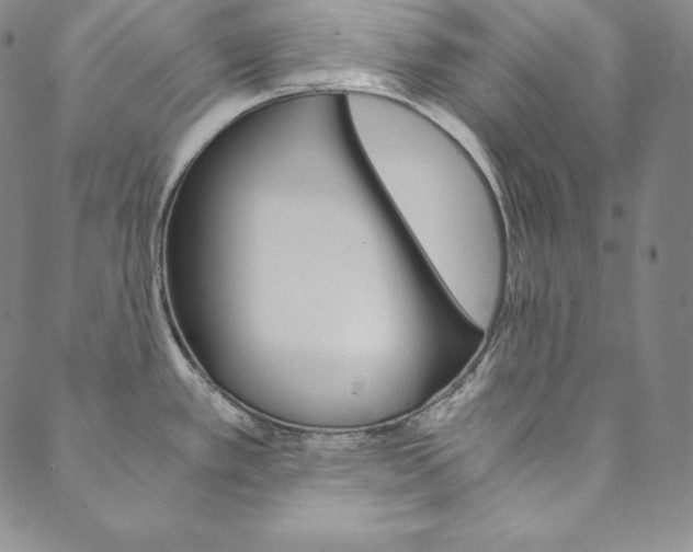 X0000090601389200707171058