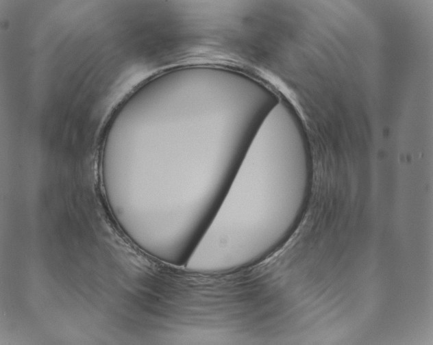 X0000090601415200707171057