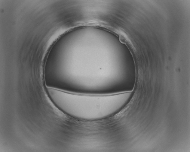 X0000090601424200707171057