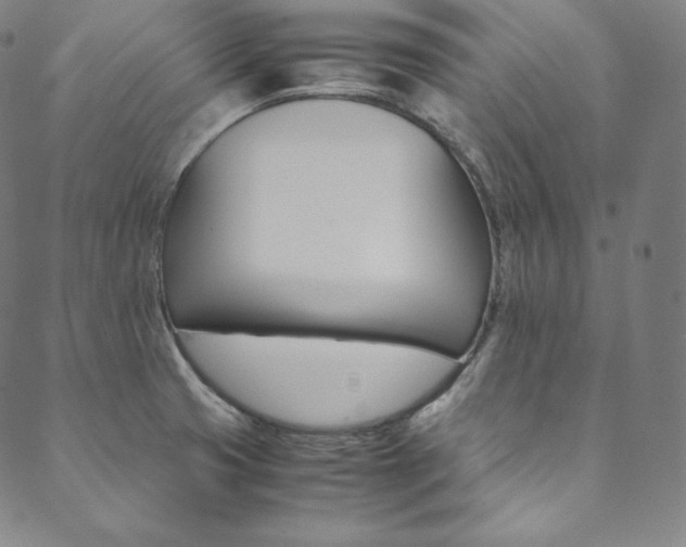 X0000090601425200707171057