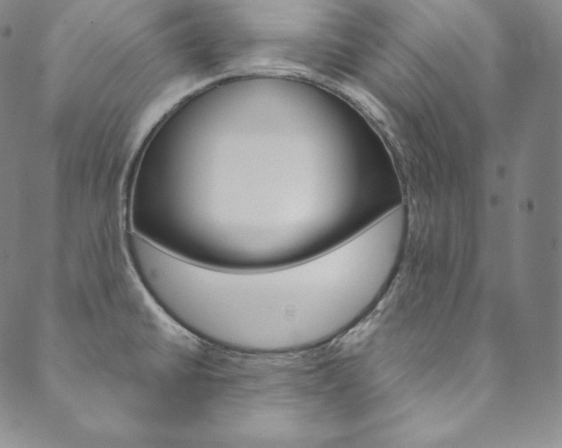 X0000090601430200707171057