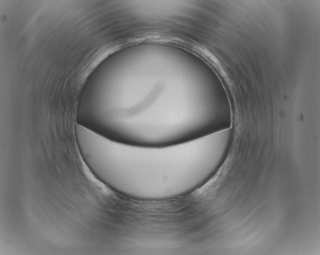 X0000090601433200707171057