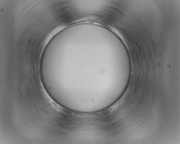 X0000090601434200707171057