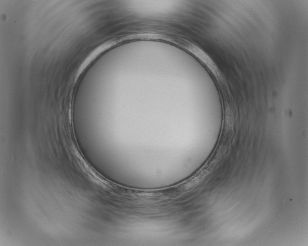 X0000090601436200707171057