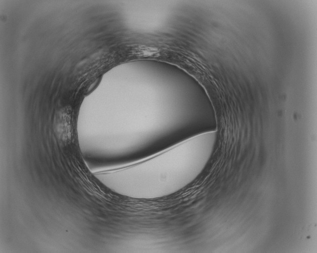 X0000090601442200707171057