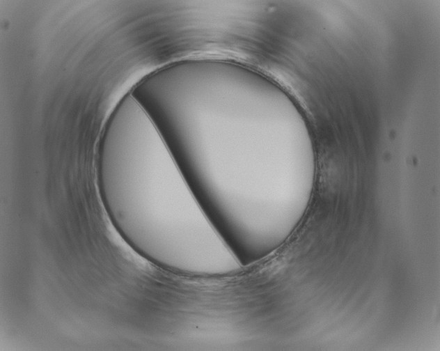 X0000090601476200707171056