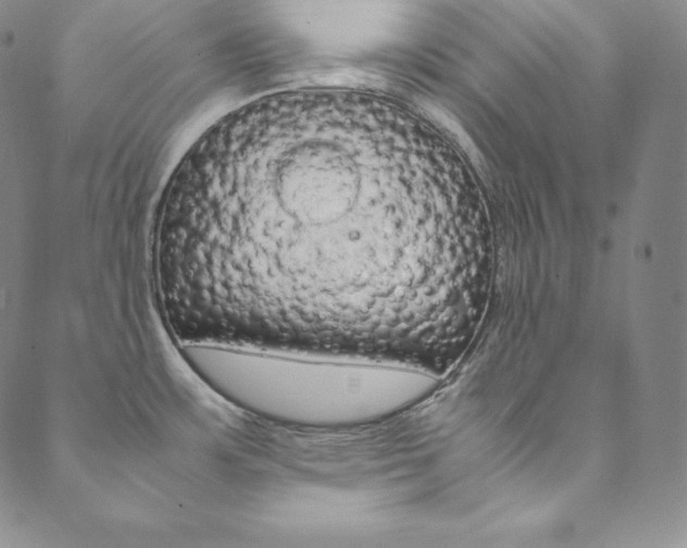 X0000090601483200707171056