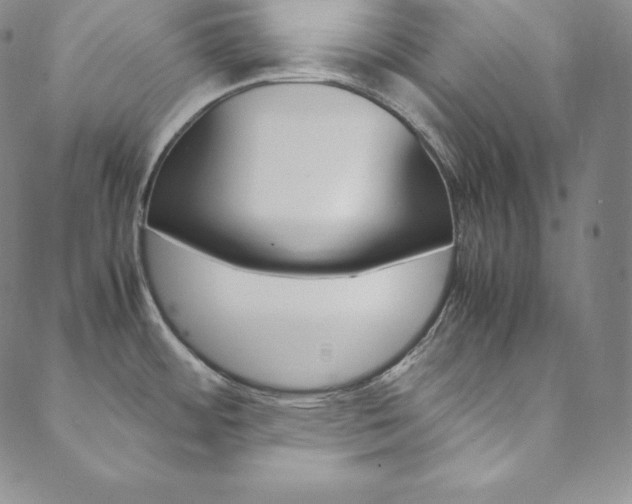X0000090601484200707171056